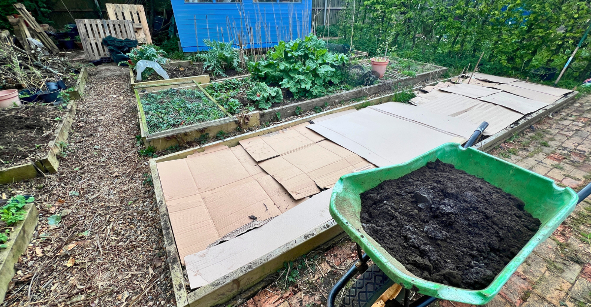 No dig allotment plot